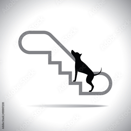 eskalator dog