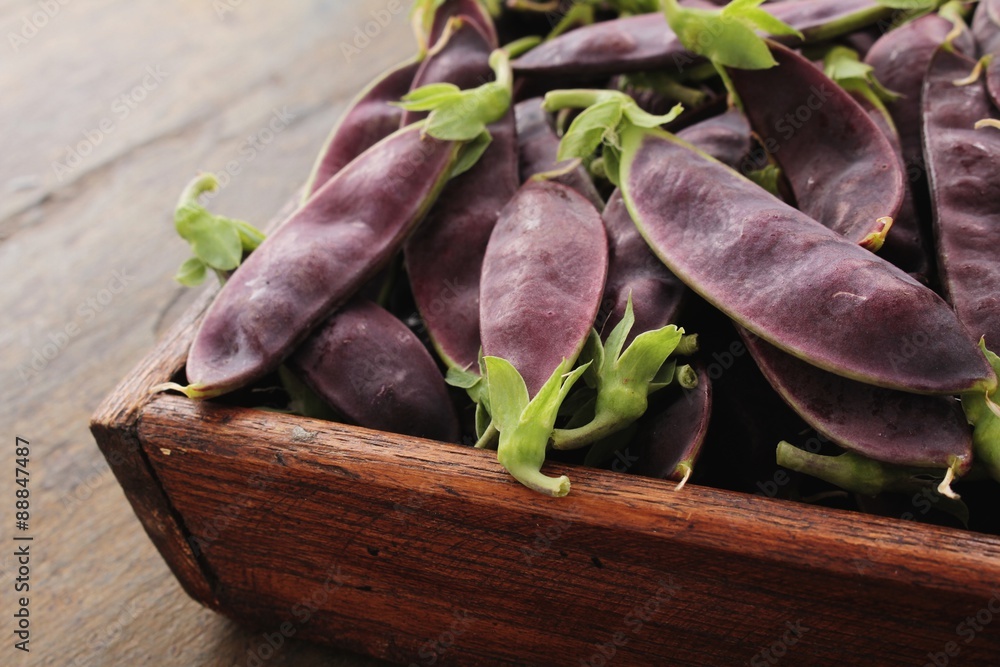 fresh purple mangetout fresh purple mangetout