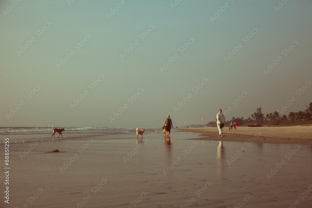 Walking dogs on beach at sunset