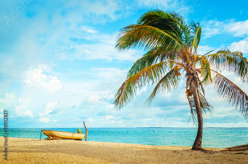 Fototapeta Naklejka Na Ścianę i Meble -  Boat and coconut tree on caribbean beach