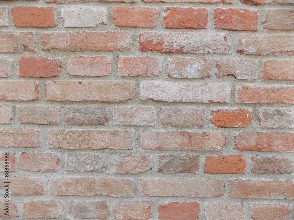 Obraz premium Bricks wall texture