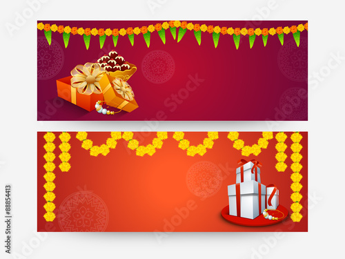 Web header or banner for Raksha Bandhan.