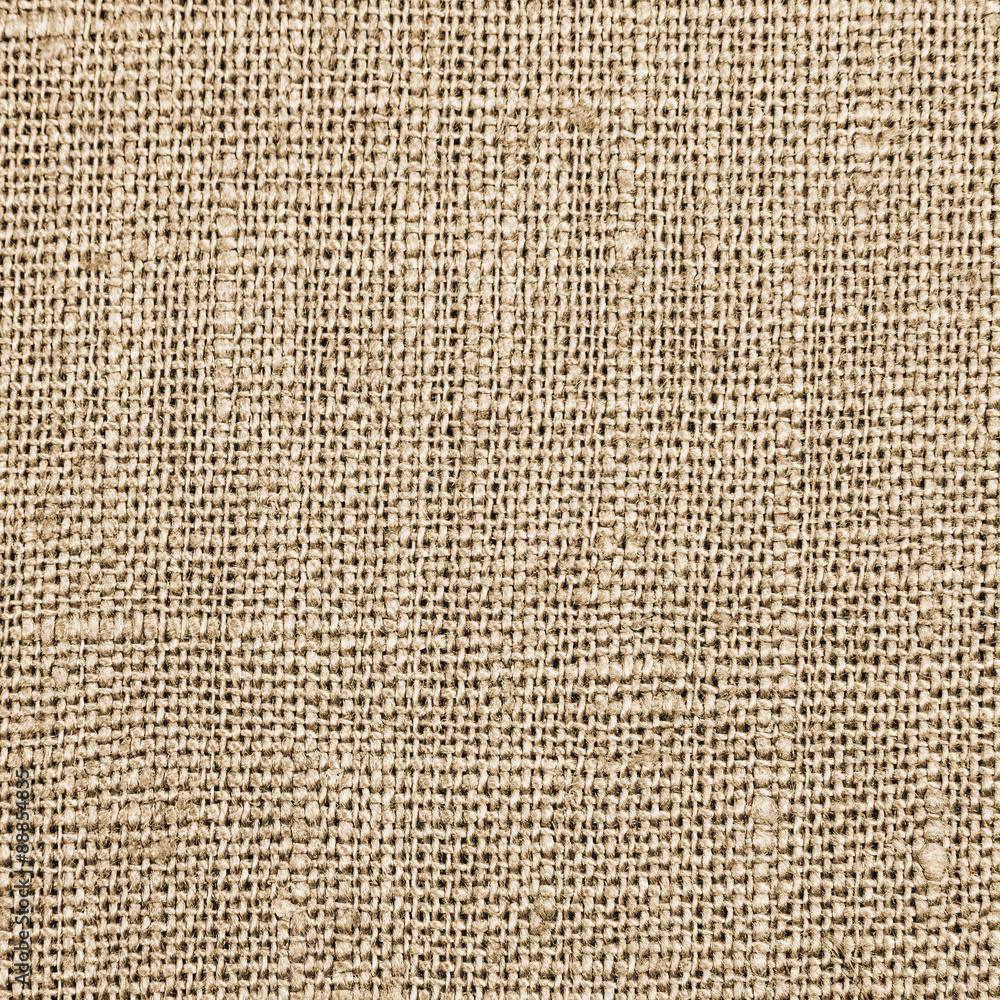 Fabric Fabric
