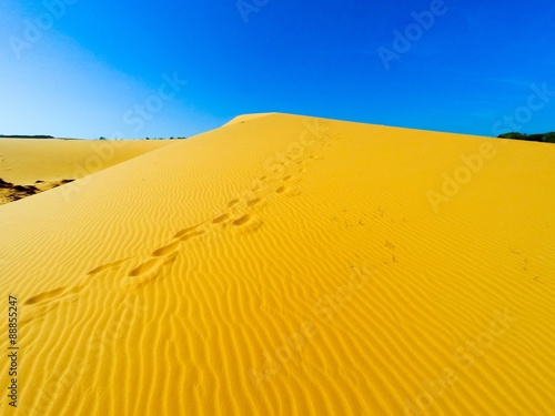 White Sand Dunes  Mui Ne  Vietnam