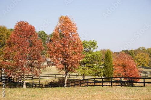 Horse Farm in Autumn North Carolina