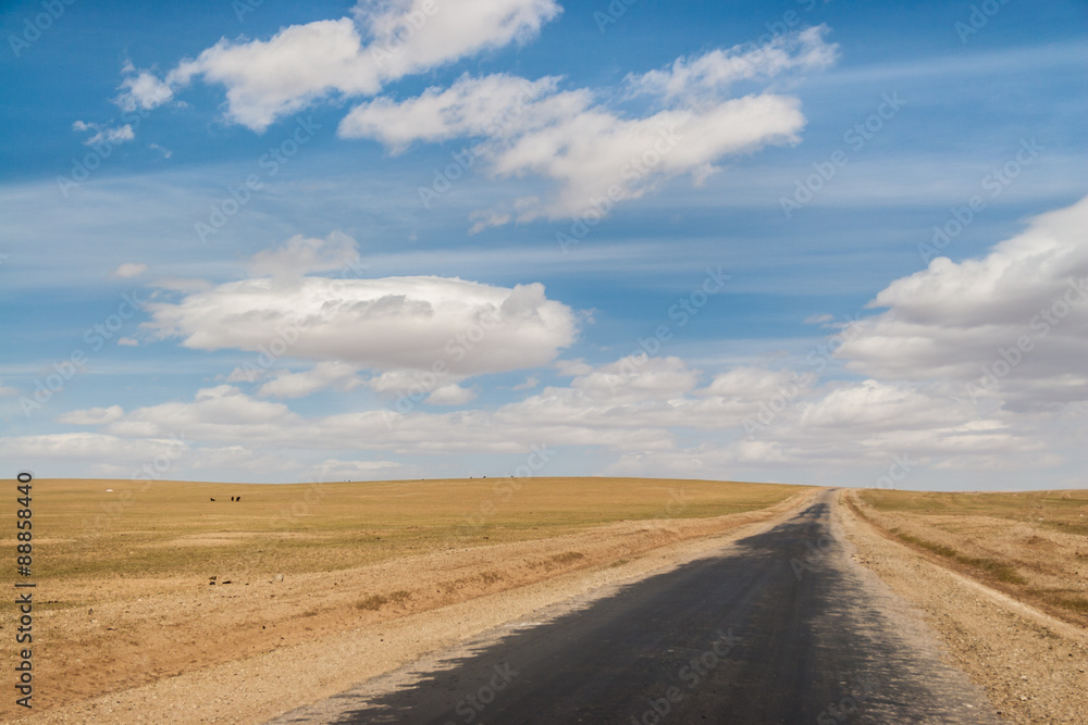 Highway in wild Mongolian steppe