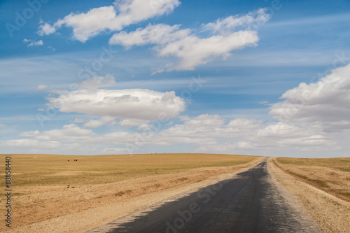 Highway in wild Mongolian steppe