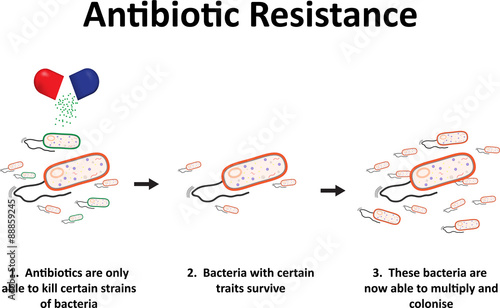 Antibiotic Resistance