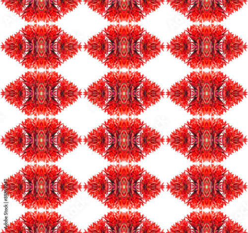 Bromeliad seamless pattern background