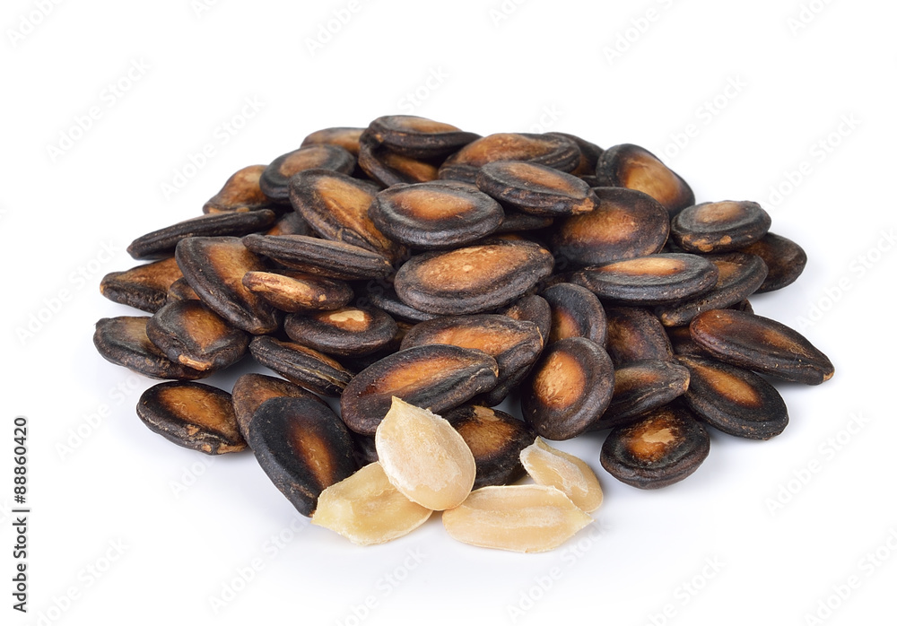 dry watermelon seed on white background dry watermelon seed on white background
