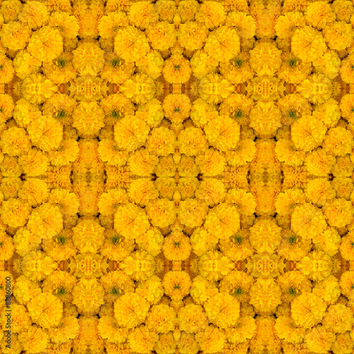 Photography Marigold seamless pattern background