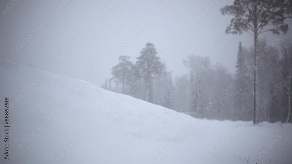 Winter trees in mountains covered with fresh snow during Winter trees in mountains covered with fresh snow during