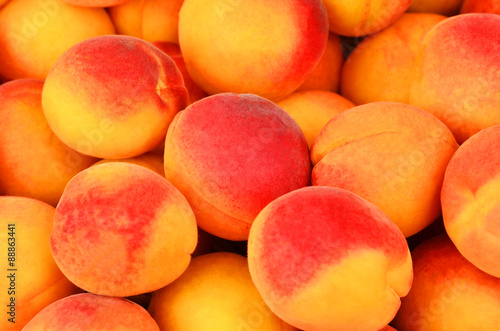 Ripe apricot close up  DOF  as background