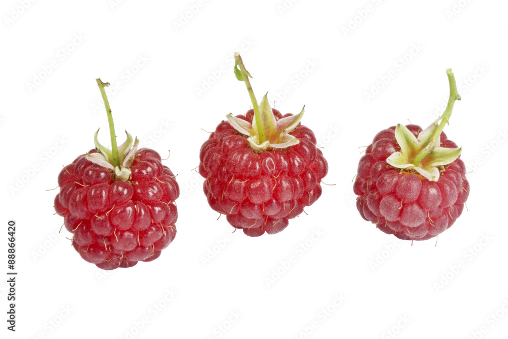 Ripe raspberries isolated on white background macro Ripe raspberries isolated on white background macro