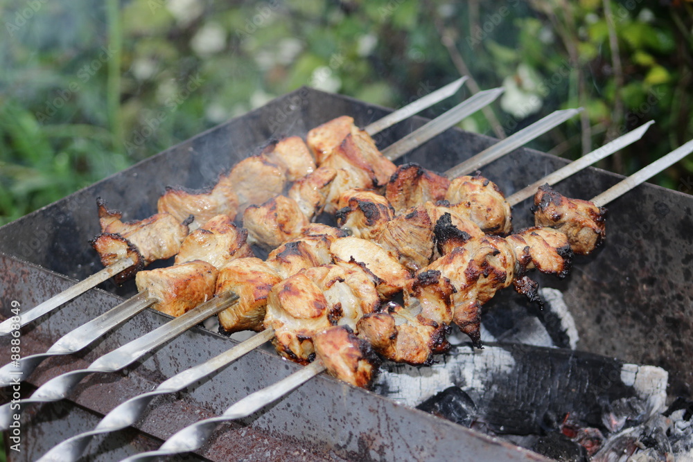 Coal grill of pork skewers. barbecue camping dinner. Coal grill of pork skewers. barbecue camping dinner.