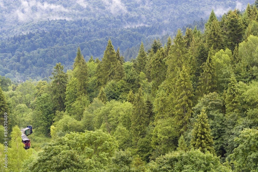 Obraz premium Train in mountain