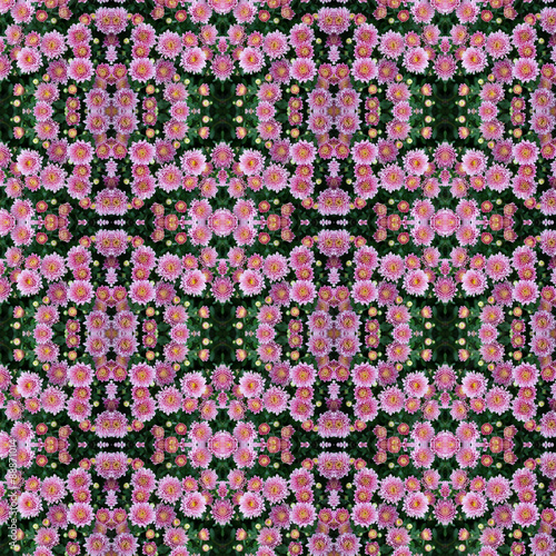 Beautiful flowers of chrysanthemums seamless pattern background