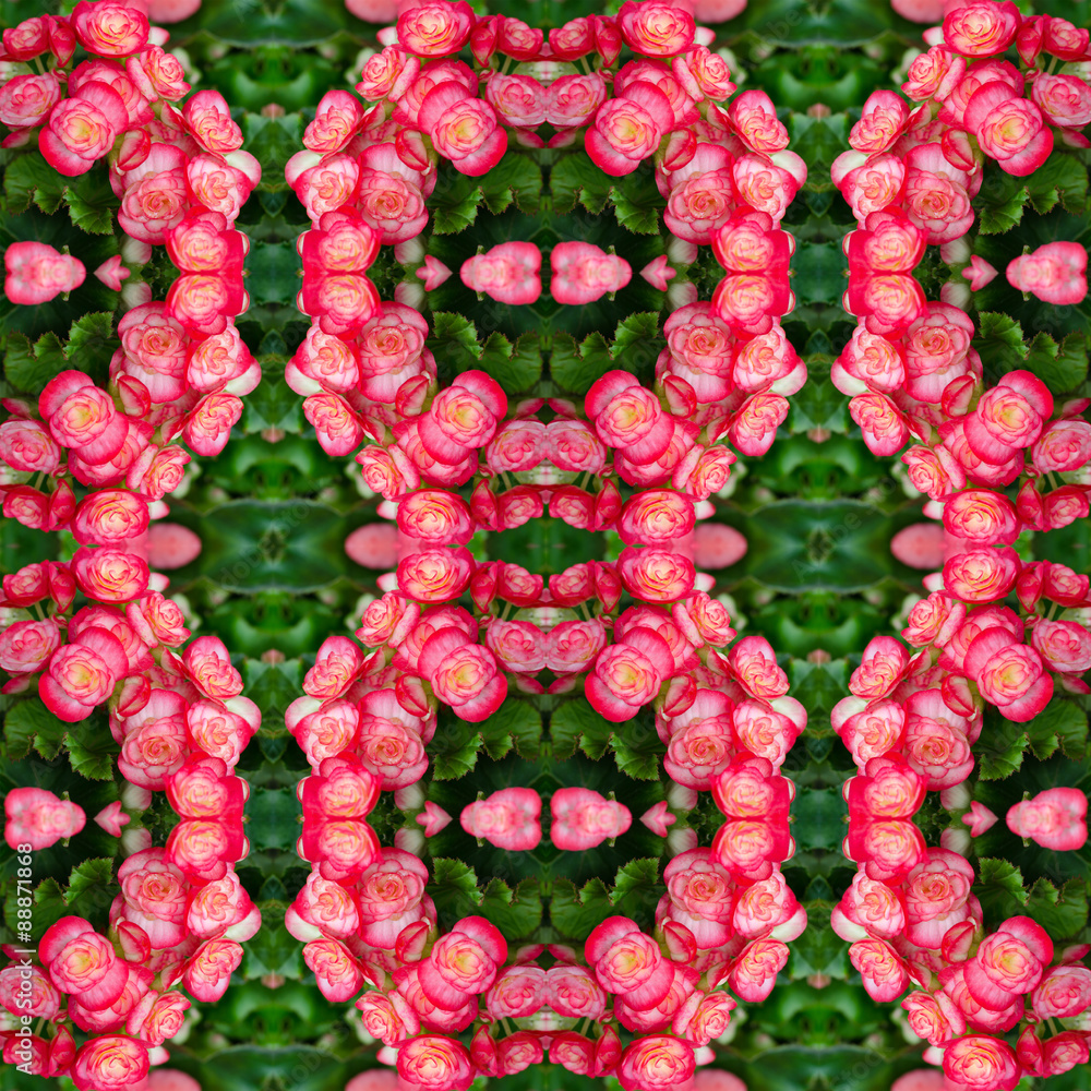 begonia flower seamless pattern background begonia flower seamless pattern background
