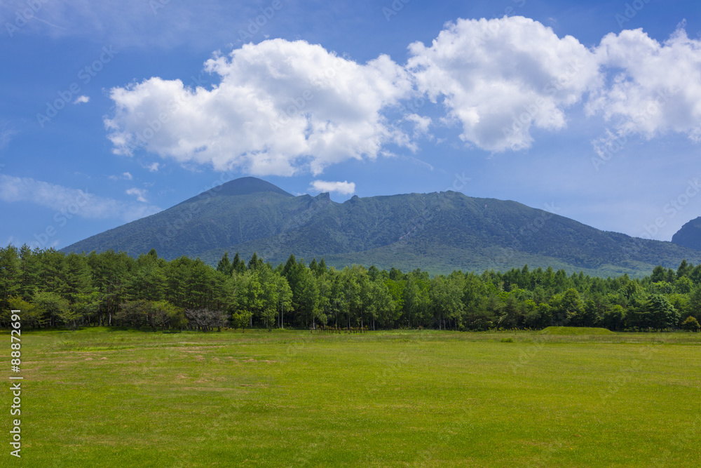 Fototapeta premium 岩手県県民の森より岩手山(岩手県八幡平市)