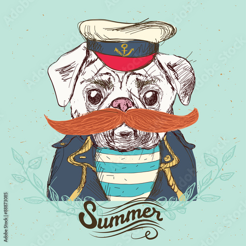 Illustration of pirate pug dog on blue background in vector