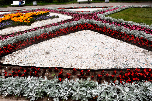 blossoming flowerbed in city summer park  photo