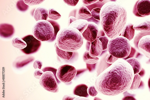 Quadro su tela Red blood cells