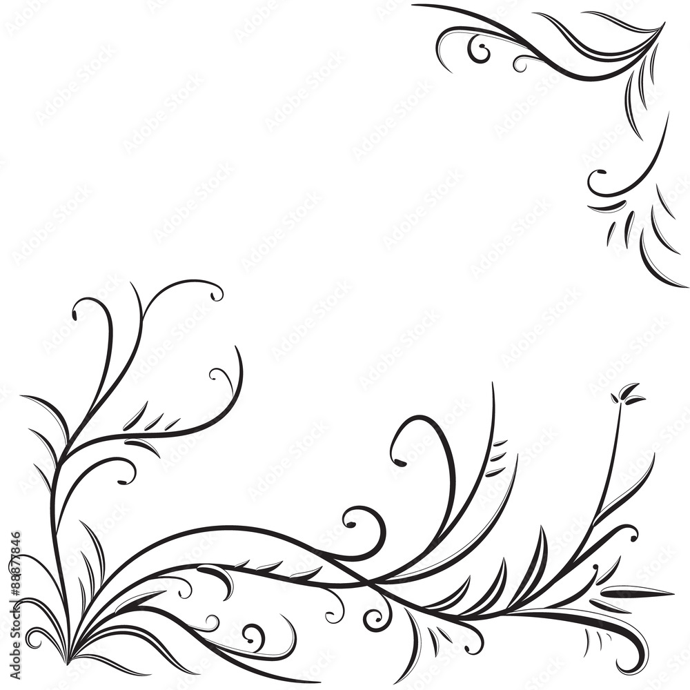 Monochrome background with floral elements