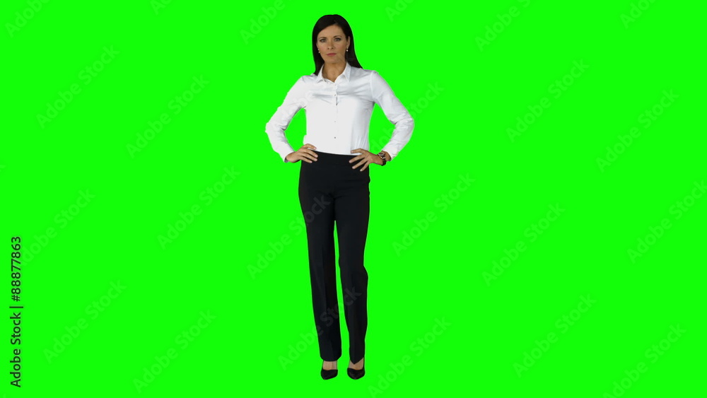 Businesswoman smiling at the camera Businesswoman smiling at the camera