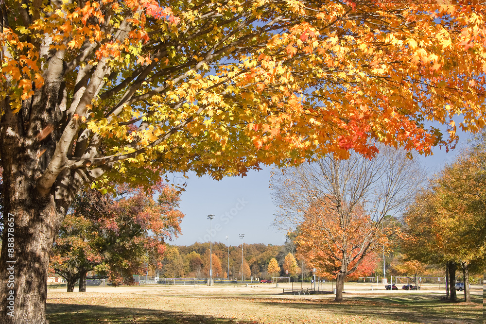Naklejka premium Ball Park in Charlotte with Fall Maple Trees