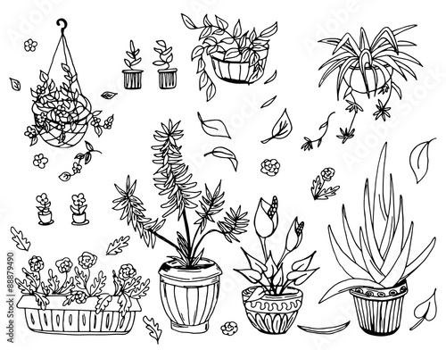 Pot plants set, hand-drawn