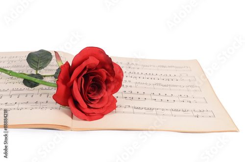 The rose on notebooks with notes