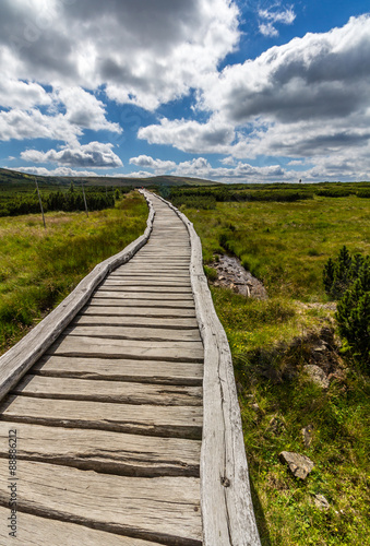 On the trail near Pec Pod Snezkou in Krkonose mountains  Czech Republic  