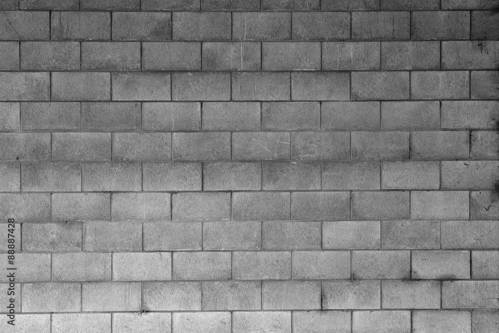 Fototapeta premium Wall