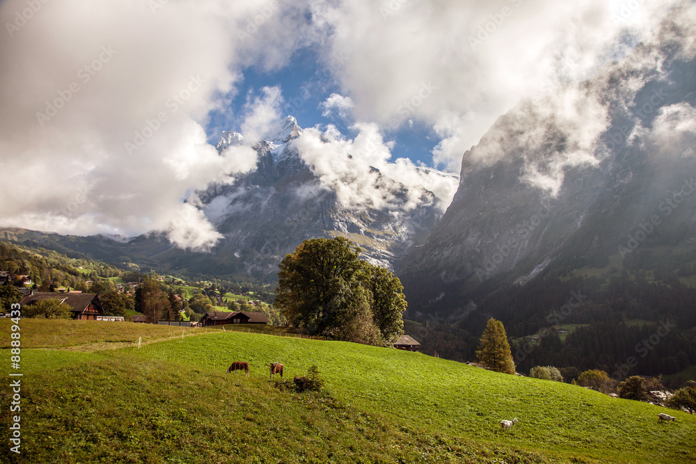 Beautiful Swiss meadows, valleys and peaks above Grindelwald, Switzerland