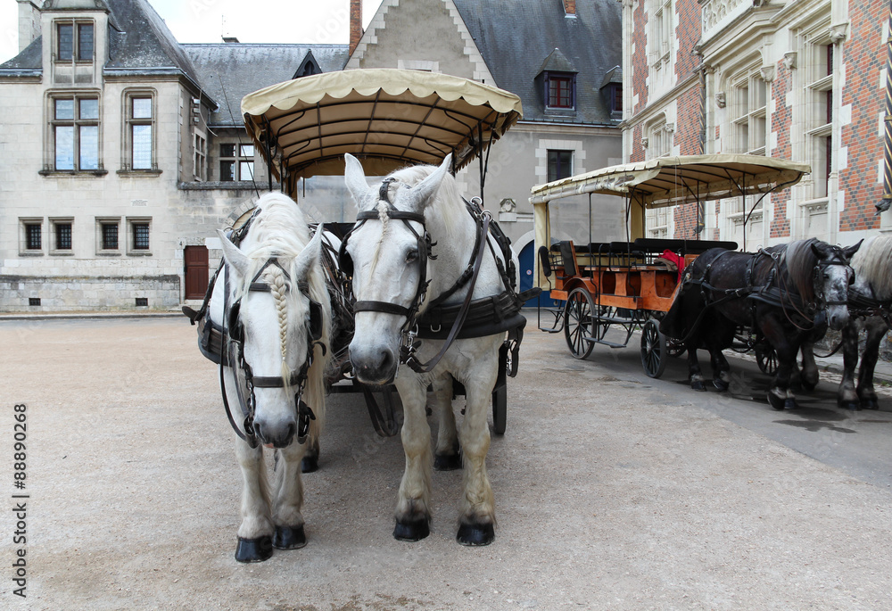 Horses at the Castle of Blois