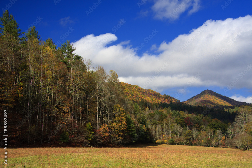 Field and Mountain Landscape