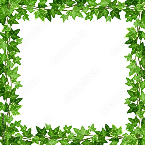 Vector frame with green ivy leaves on a white background.