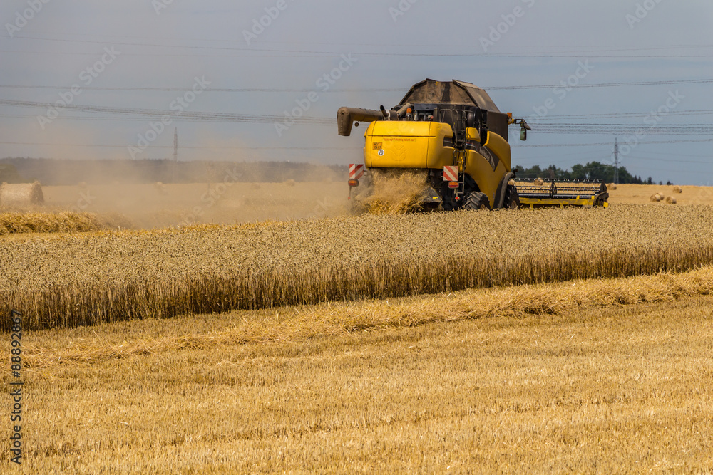 Fototapeta premium yellow combine harvester working in wheat field