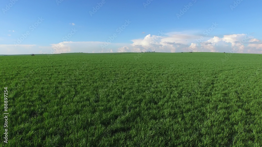 Aerial video of sugar cane planting in Brazil - canavial Aerial video of sugar cane planting in Brazil - canavial