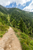 Mountain path in the national park Krkonose
