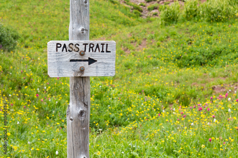 Sign for the Pass Trail against wildflowers in Colorado