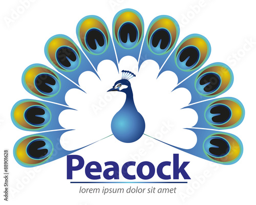 Abstract vector Peacock, for corporate identity