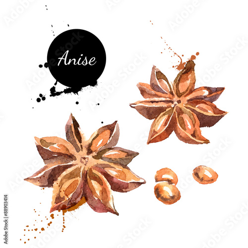 Kitchen herbs and spices banner. Vector illustration. Watercolor