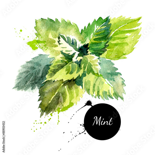 Kitchen herbs and spices banner. Vector illustration. Watercolor