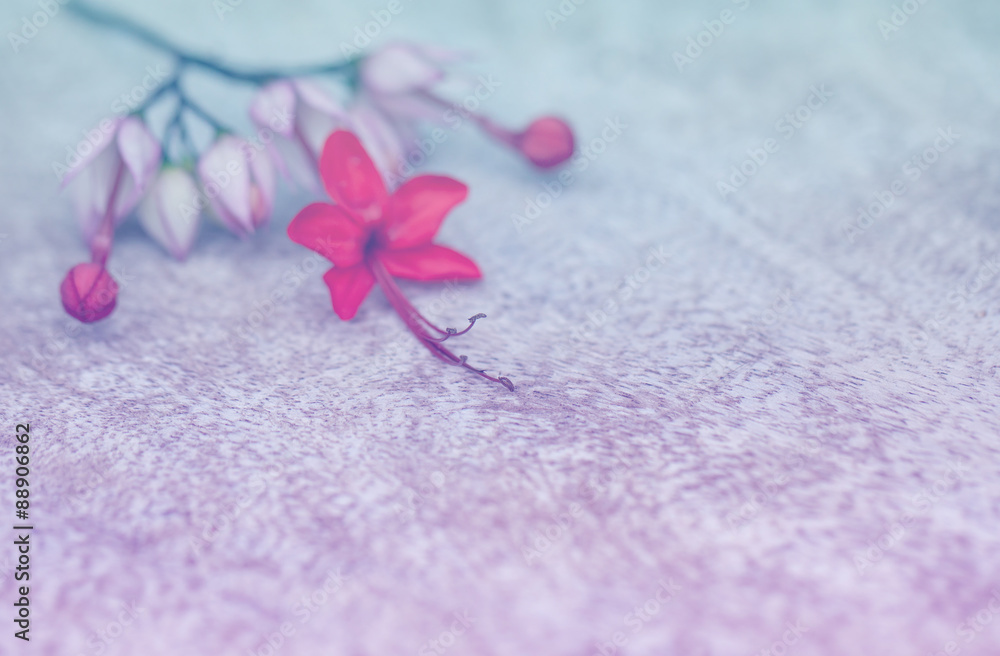 Flowers on wood Flowers on wood