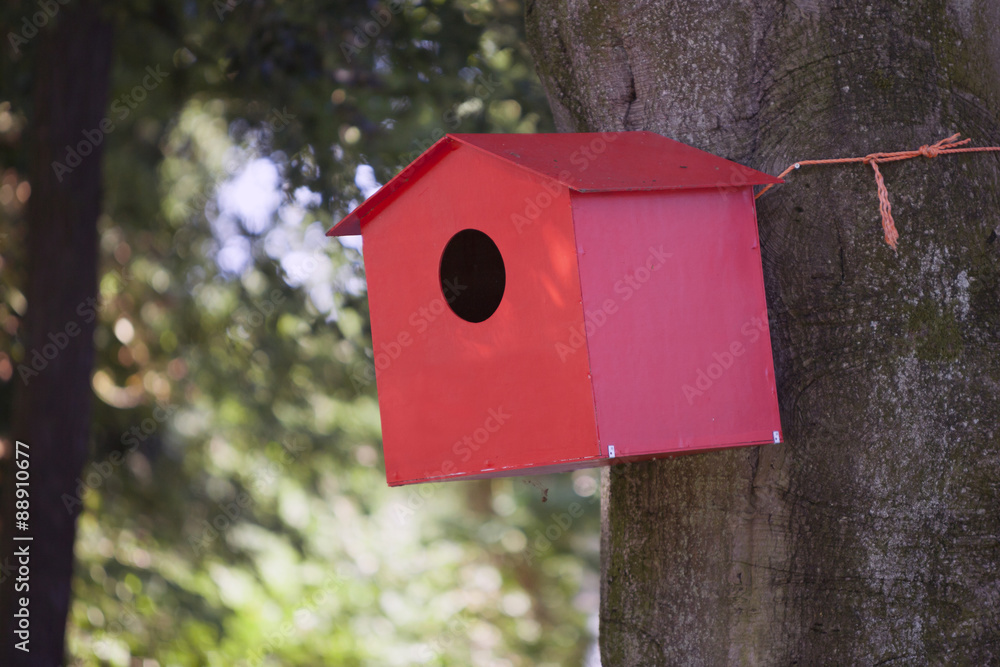 red birdhouse against beech tree