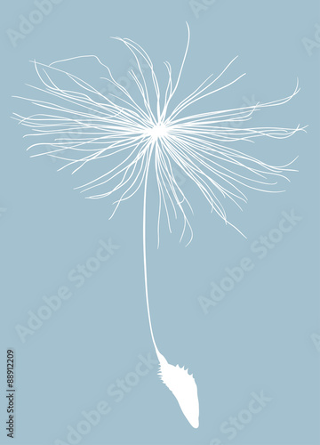 single dandelion seed silhouette isolated on blue