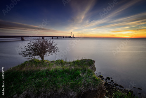 Photo of the Danish Great Belt Bridge with a little tree in the