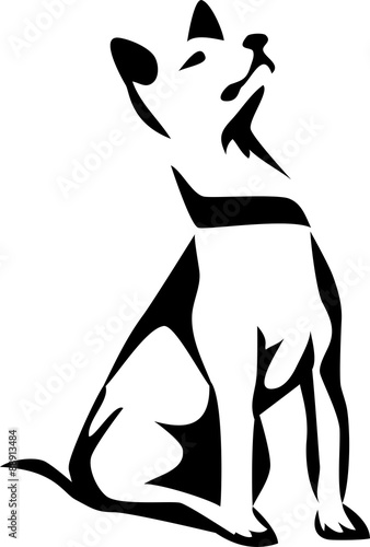 sitting dog