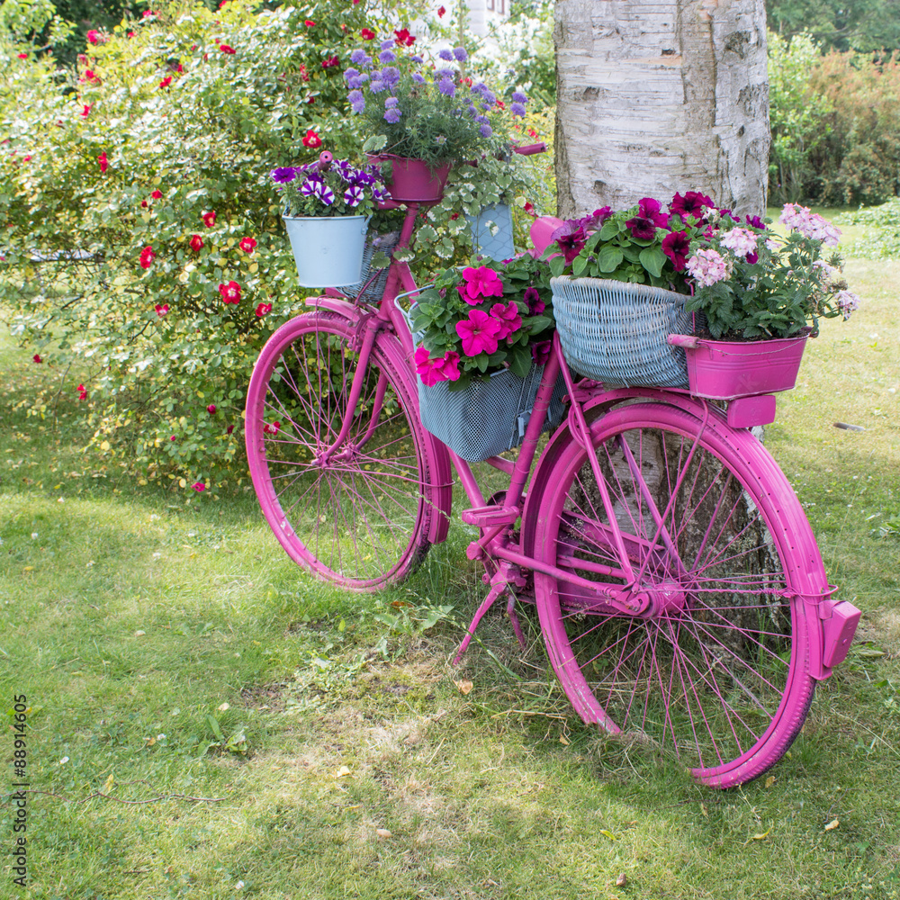 pink bicycle / A pink bicycle with flowers stands as a decoration in the garden